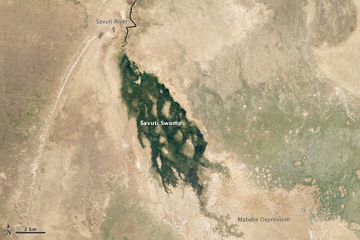 Satellitenbild: dunkelgrüne Wasserfläche des Savuti-Sumpfs in hellbrauner Landschaft, oben der Savuti-Kanal