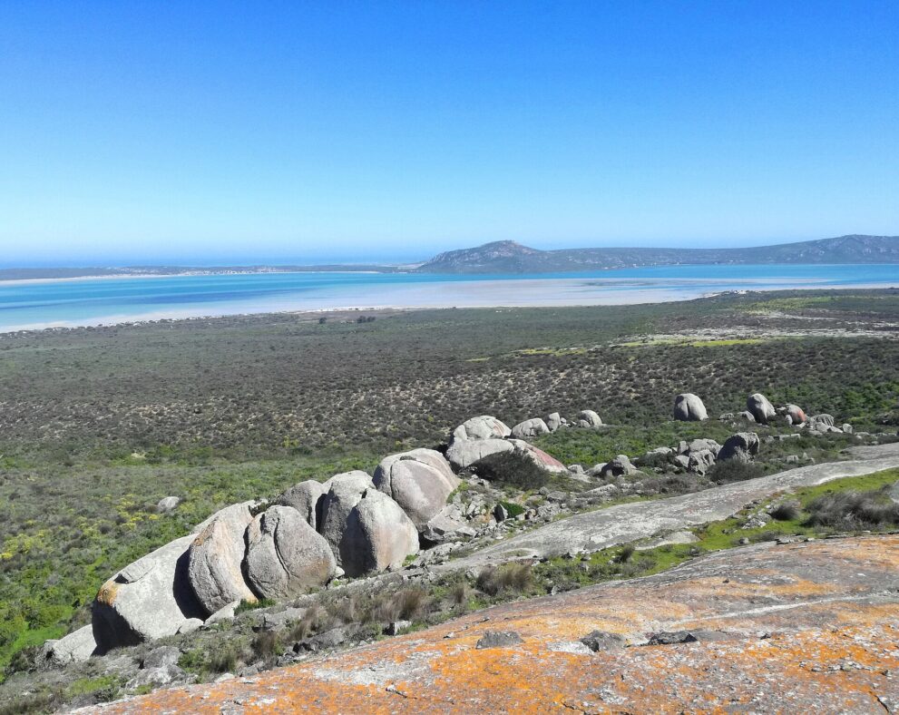 Blick von der Granitkuppe des Seebergs über Fynbos und Granitblöcke auf die türkisfarbene Langebaan-Lagune, dahinter die Hügel des Postbergs.
