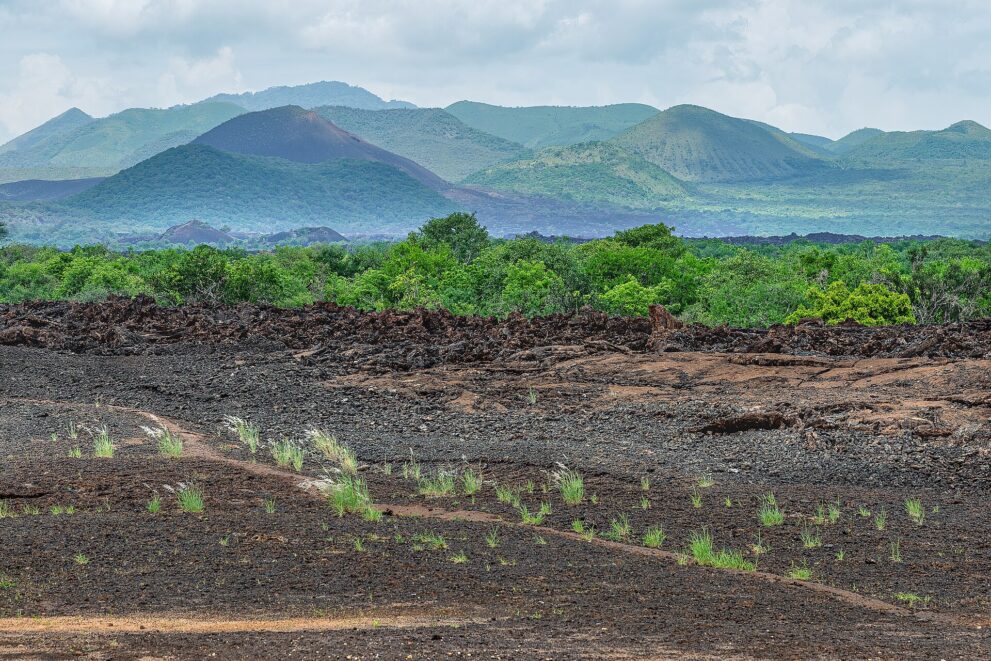 Rand des Lavastroms mit Grasbüscheln vorn, dahinter grüner Busch und die Kegel der Chyulu Hills
