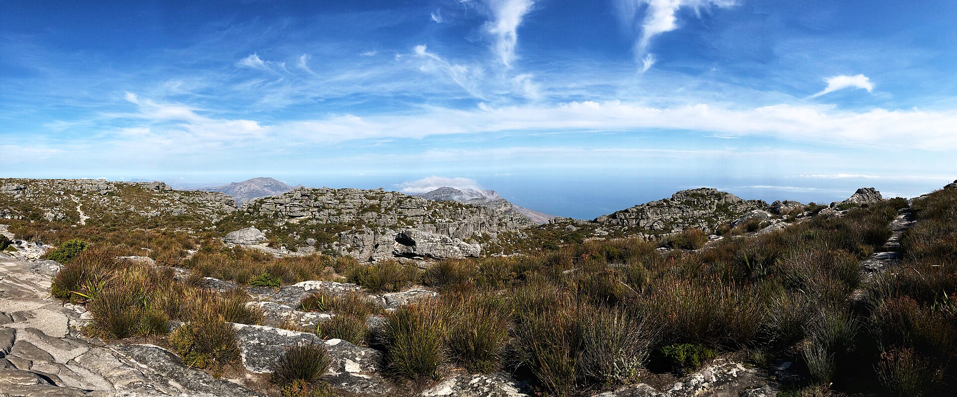 Weite Hochfläche mit hellem Sandsteinfels und Restio-Büscheln unter blauem Himmel mit Schleierwolken