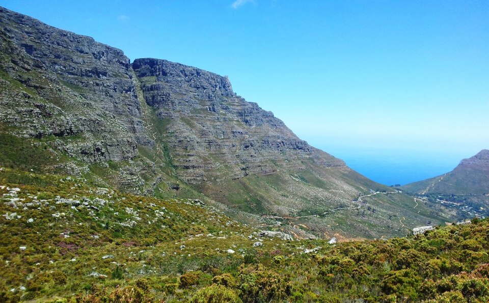 Steile, geschichtete Felswand des Tafelbergs mit einer tiefen Kerbe, davor grüner Fynbos, rechts das Meer