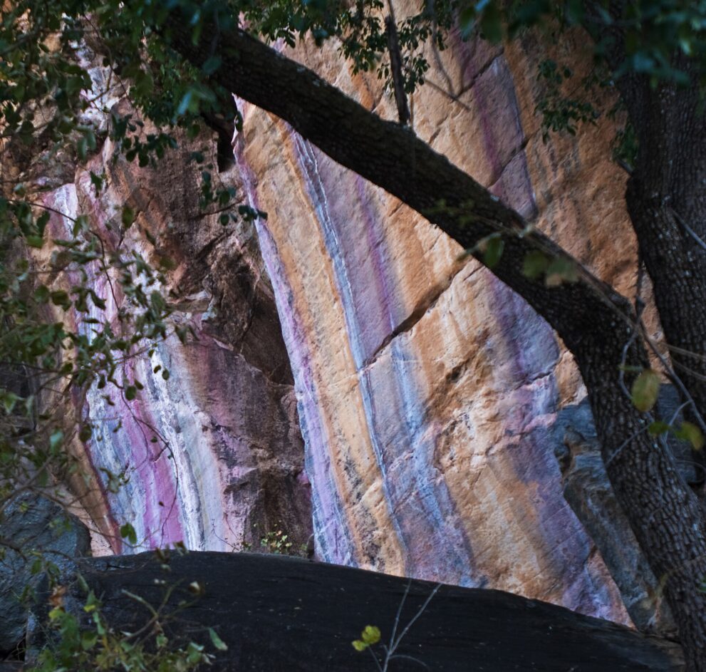 Felswand aus Quarzit mit rosa, violetten und ockerfarbenen Streifen hinter Ästen