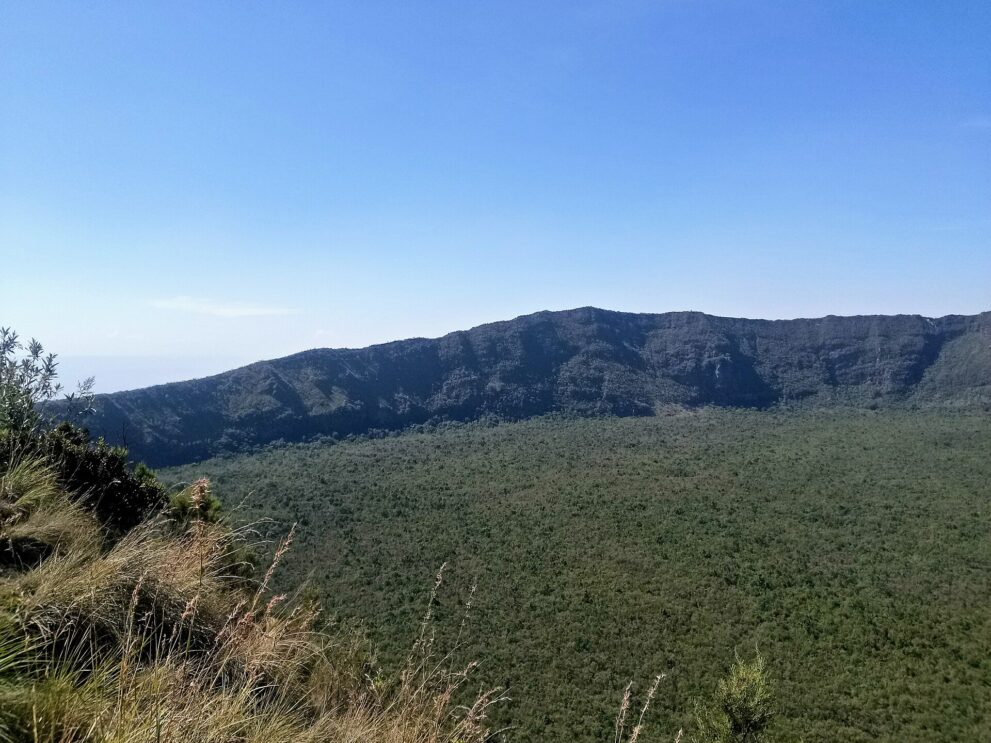 Blick über den bewaldeten Kraterboden auf die gegenüberliegende dunkle Kraterwand unter blauem Himmel, vorn trockenes Gras