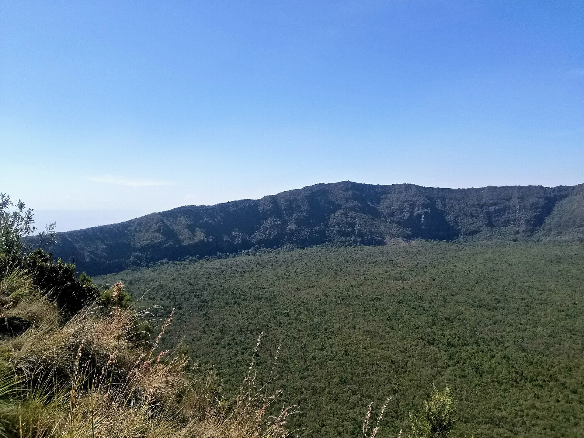 Blick über den bewaldeten Kraterboden auf die gegenüberliegende dunkle Kraterwand unter blauem Himmel, vorn trockenes Gras