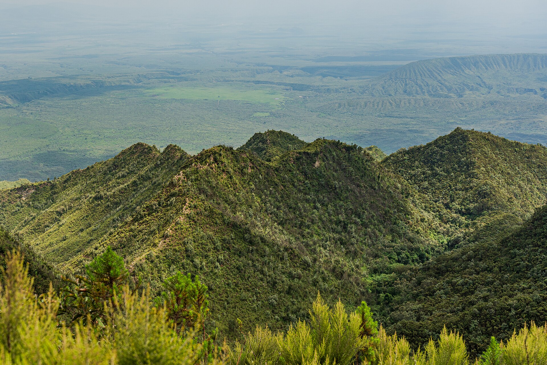 Mehrere schmale, bewachsene Grate laufen vom Kraterrand nach außen hinab, dahinter die weite Ebene des Rift Valley