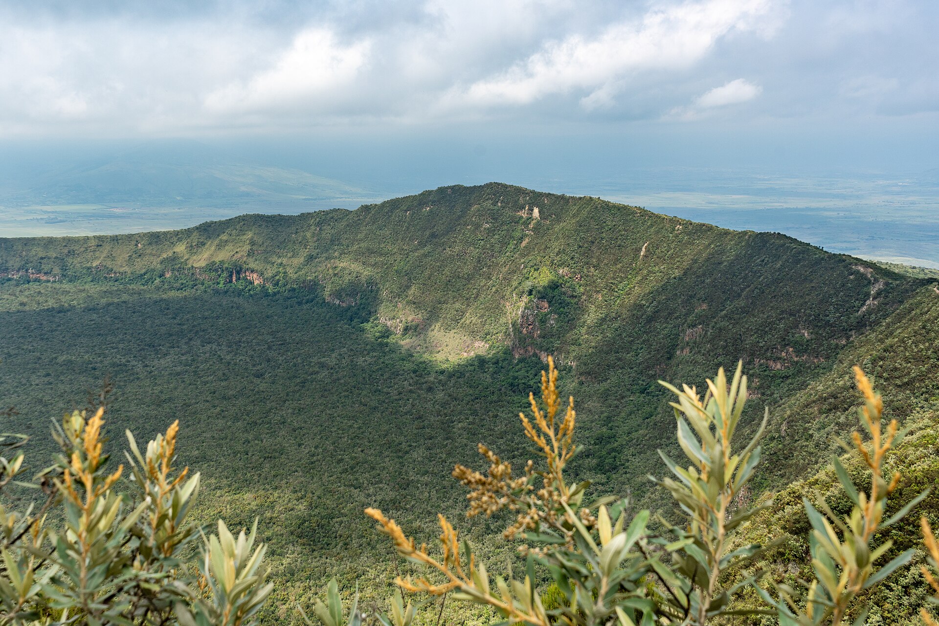 Grüner Kraterrand mit steiler Innenwand und hellen Felsbändern, unten der Wald im Krater, vorn gelb blühende Sträucher