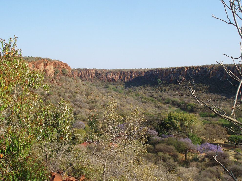 Blick von einem bewaldeten Hang auf eine rote Felswand, im Tal blühende Jacarandas und rote Dächer