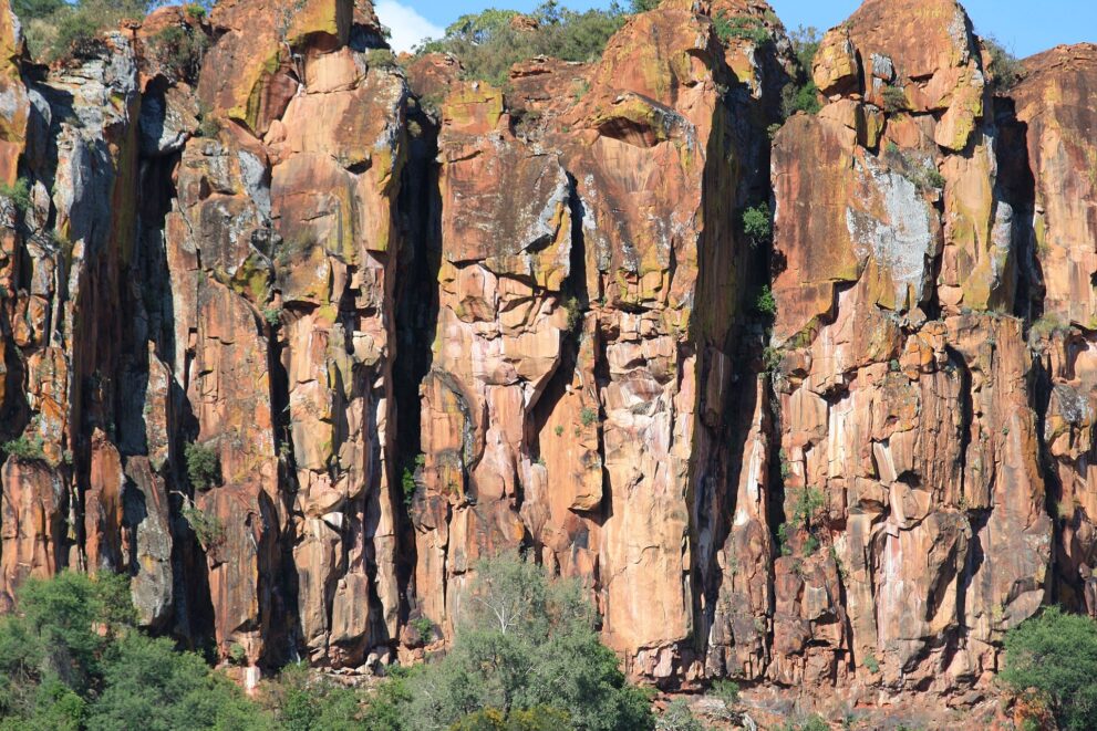 Senkrechte rote Sandsteinwand mit Rissen, gelben und grauen Flechten, Büsche am Fuß