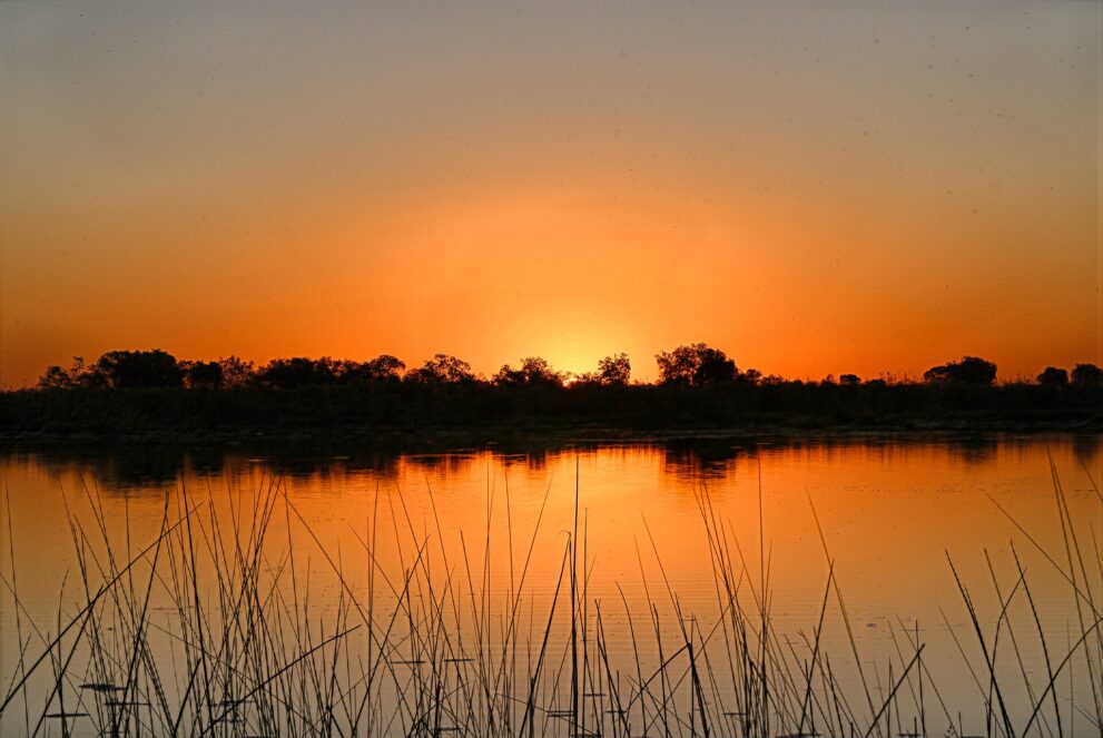 Orangefarbener Sonnenuntergang über ruhigem Wasser, Schilfhalme im Vordergrund, Baumreihe am anderen Ufer