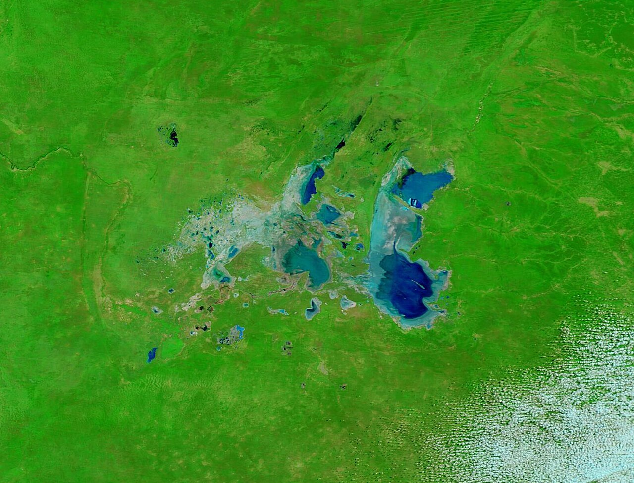 Satellitenbild in Falschfarben: grünes Land um die mit Wasser gefüllten Ntwetwe- und Sowa-Pfannen