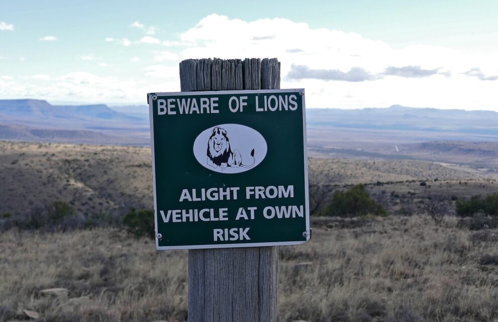 Grünes Parkschild mit Löwenzeichnung und der Aufschrift Beware of lions, alight from vehicle at own risk, dahinter weite Karoo-Ebene
