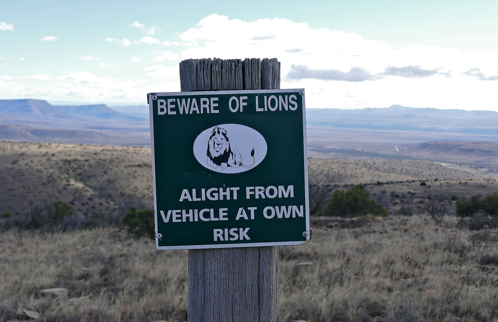 Grünes Parkschild mit Löwenzeichnung und der Aufschrift Beware of lions, alight from vehicle at own risk, dahinter weite Karoo-Ebene