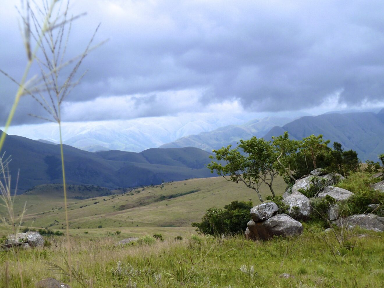 Grashügel mit Granitblöcken und Büschen, dahinter Bergketten unter Regenwolken, Malolotja Nature Reserve