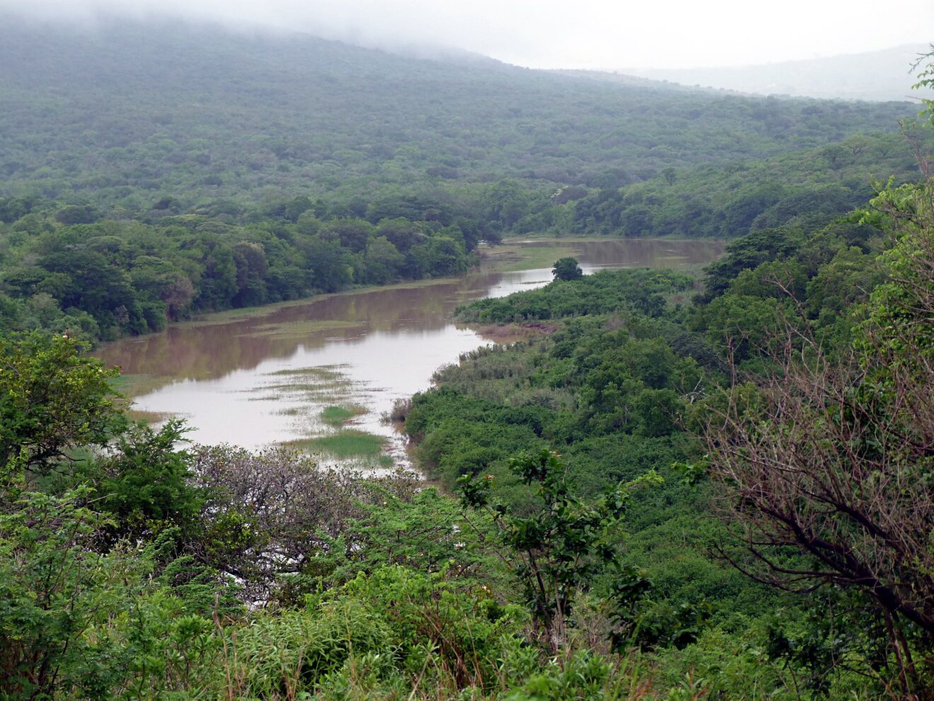 Dicht bewaldete grüne Hänge unter tiefen Wolken, unten der Nzimane mit viel Wasser im Hluhluwe-iMfolozi-Park