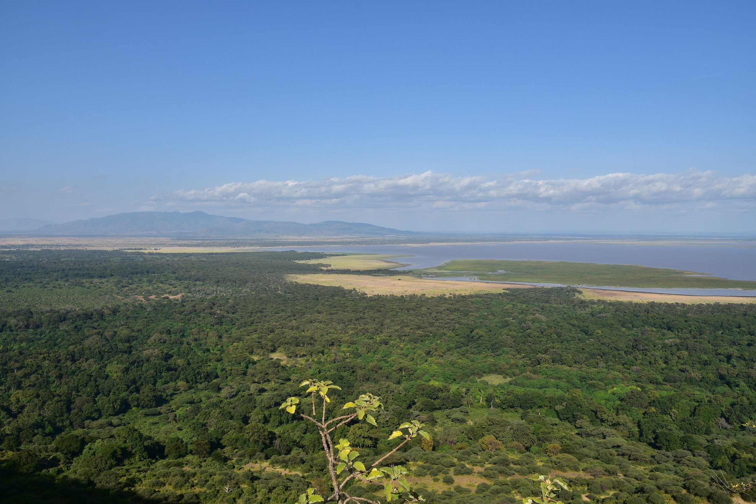 Blick von der Grabenkante über den Grundwasserwald und den Manyara-See