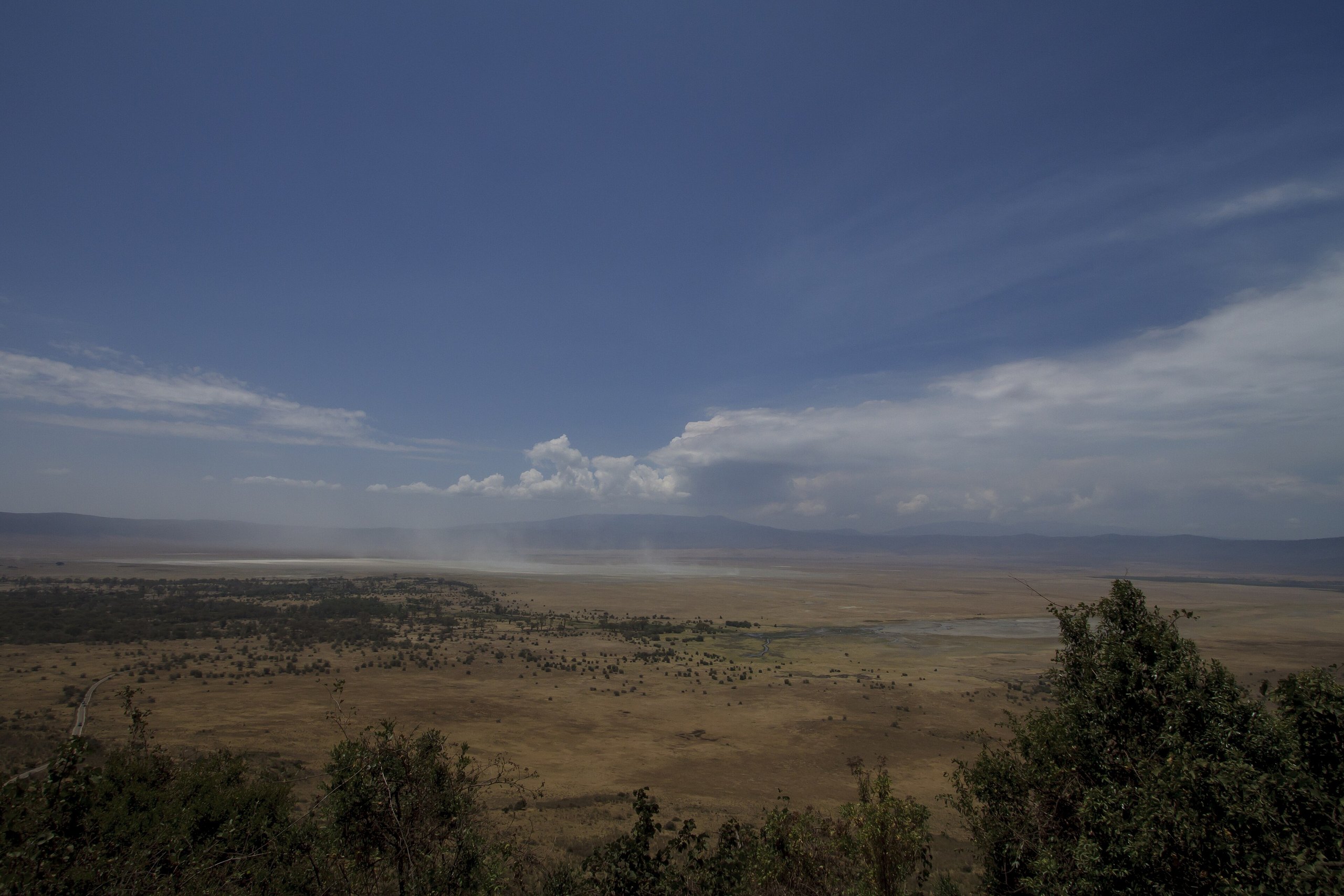 Blick vom bewaldeten Kraterrand über den trockenen Boden des Ngorongoro-Kraters mit Wald und Salzsee