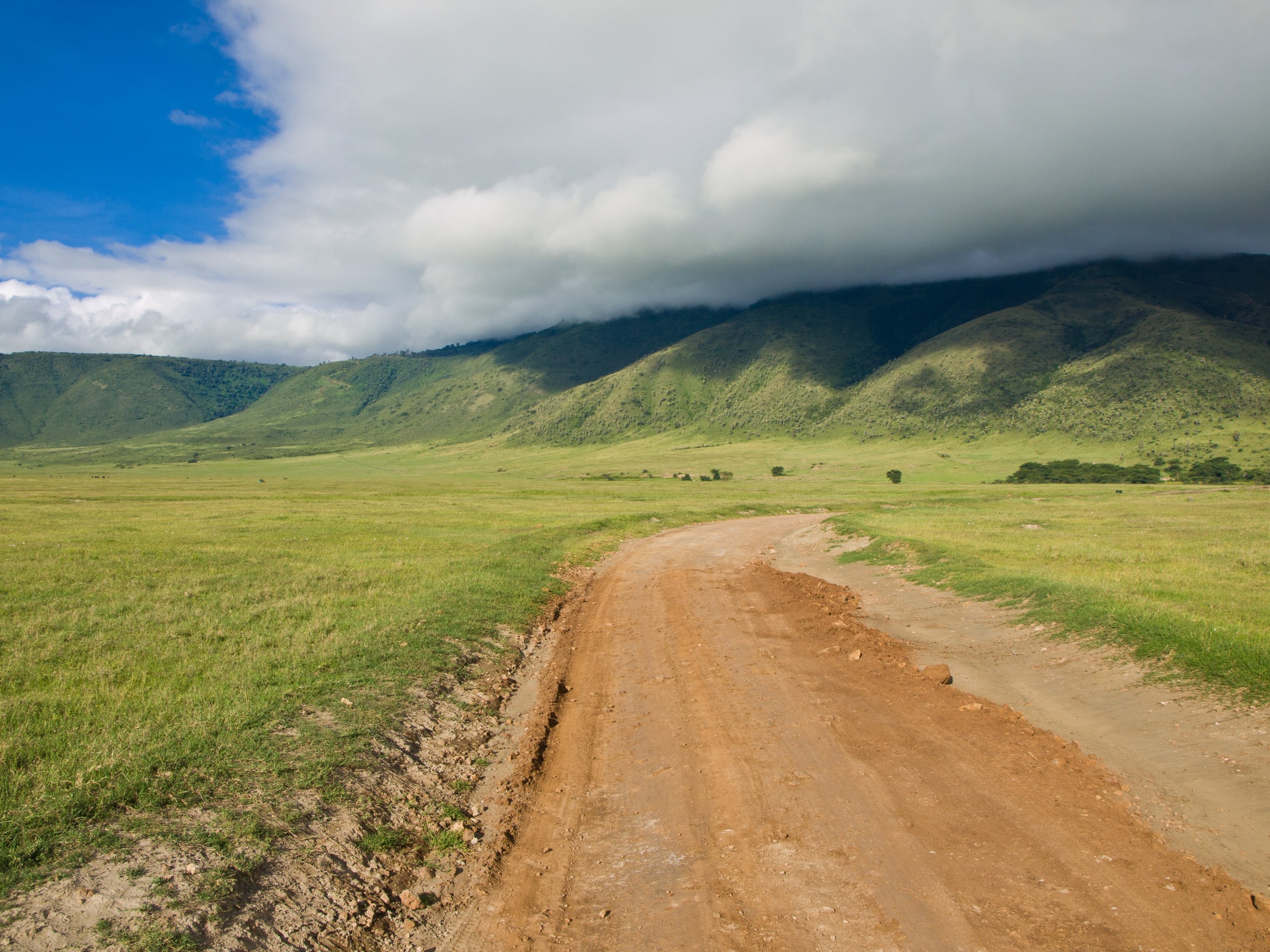 Unbefestigte Piste über den grünen Kraterboden des Ngorongoro, dahinter die bewaldete Kraterwand unter Wolken