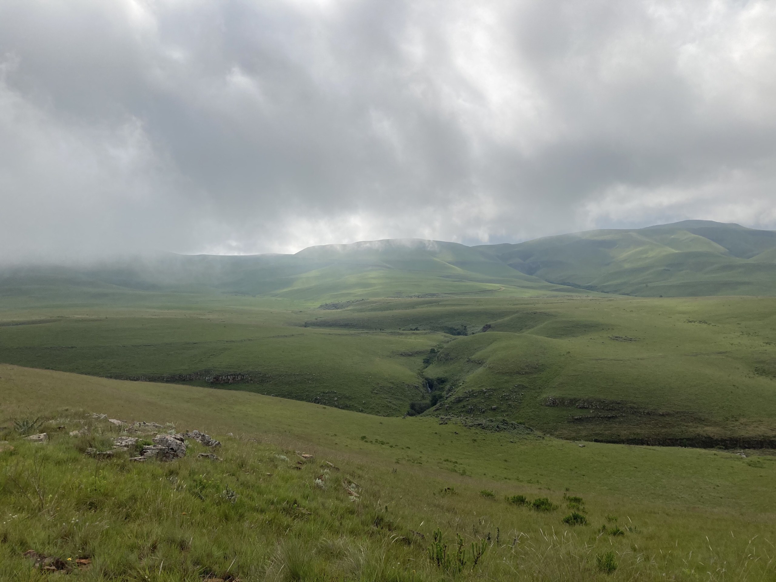 Grüne Hügel und Grasland unter tiefen Wolken, gesehen vom Fanie Botha Trail bei Sabie