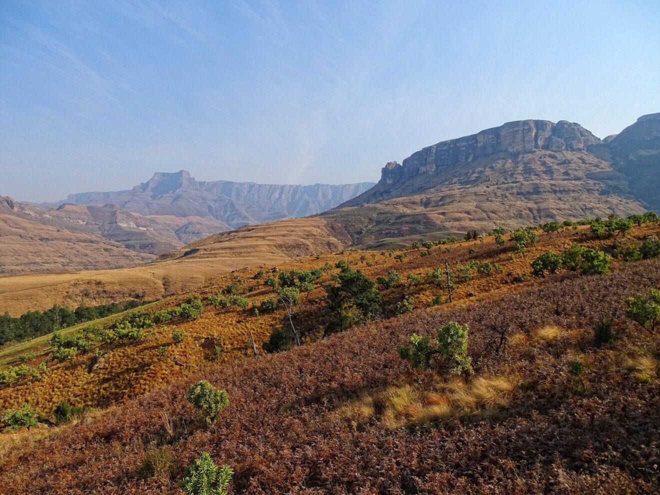Braunes Hochlandgrasland mit einzelnen Büschen bei Thendele, dahinter die Felswand des Amphitheaters