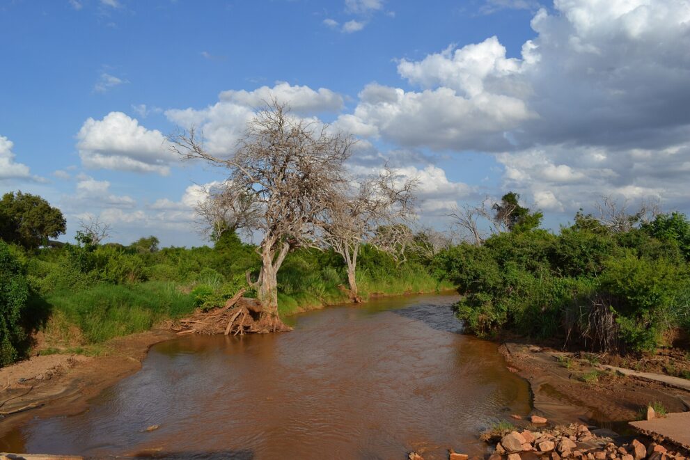 Rotbraunes Wasser des Voi-Flusses zwischen grünem Busch und kahlen Bäumen unter Wolken