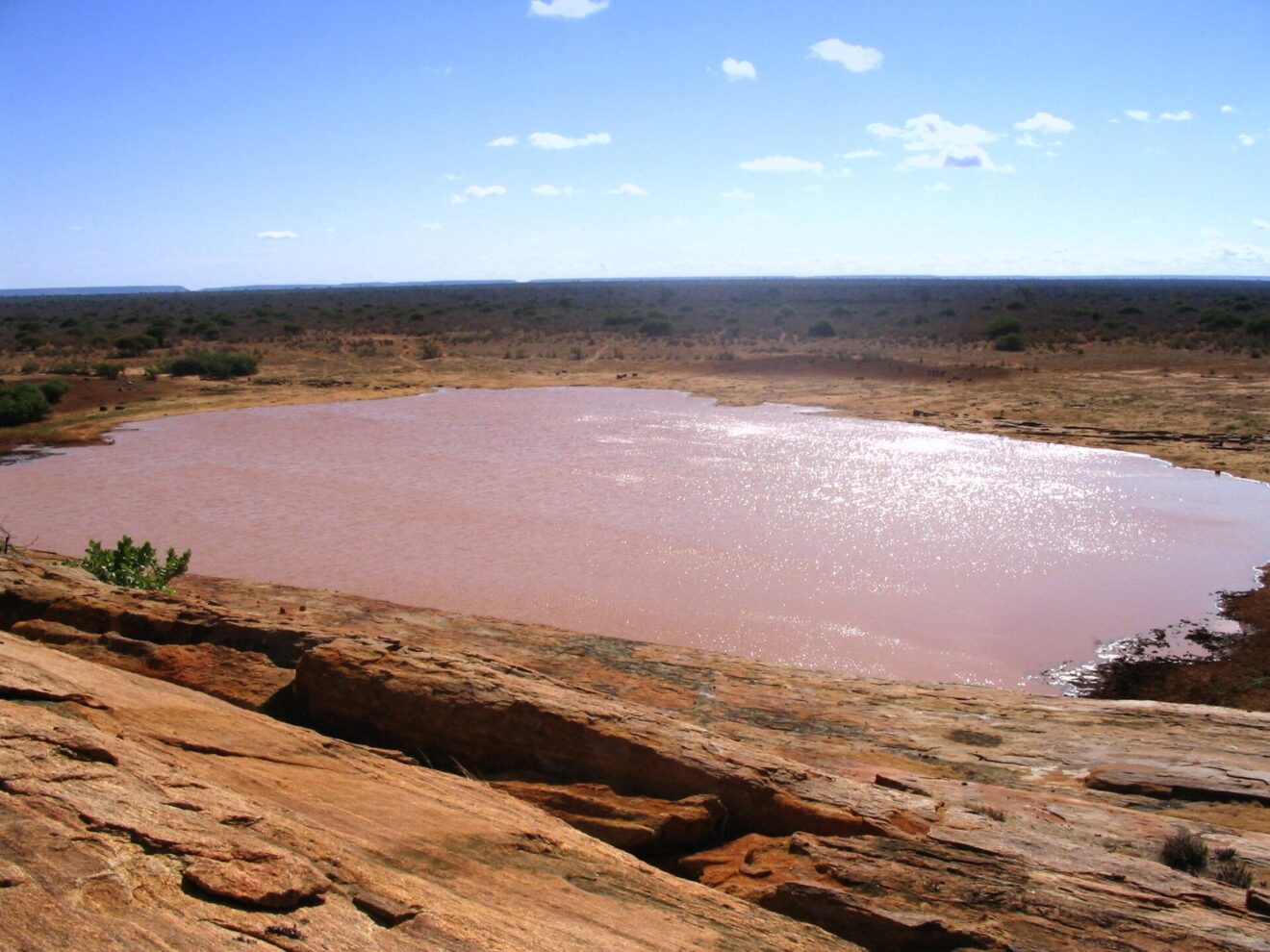 Blick vom Mudanda-Felsen auf das gefüllte Wasserloch und den Busch dahinter