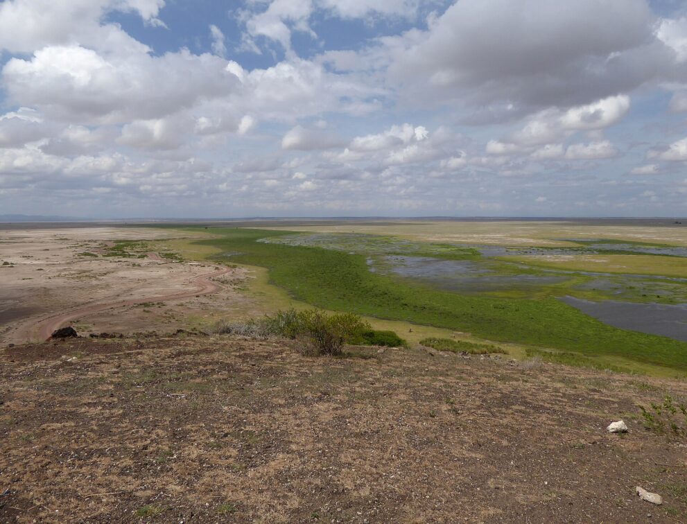 Blick von der Kuppe: links das trockene Seebett mit einer Piste, rechts der grüne Sumpf mit offenen Wasserflächen bis zum Horizont.